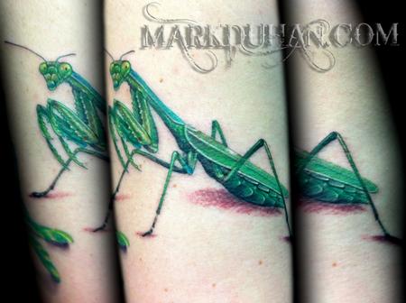 Mark Duhan - PRAYING MANTIS